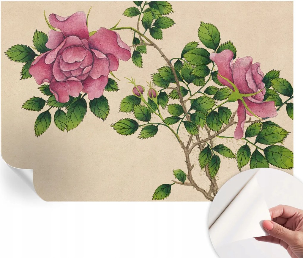 Design fali fotótapéta öntapadós Romantikus rózsák 152x104 cm