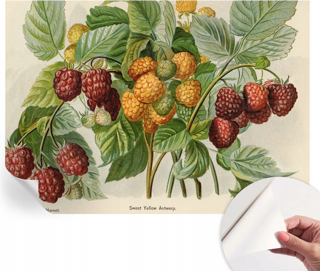 Öntapadós tapéta Divatos 3D fali ragasztóval Klasszikus málna 208x146 cm