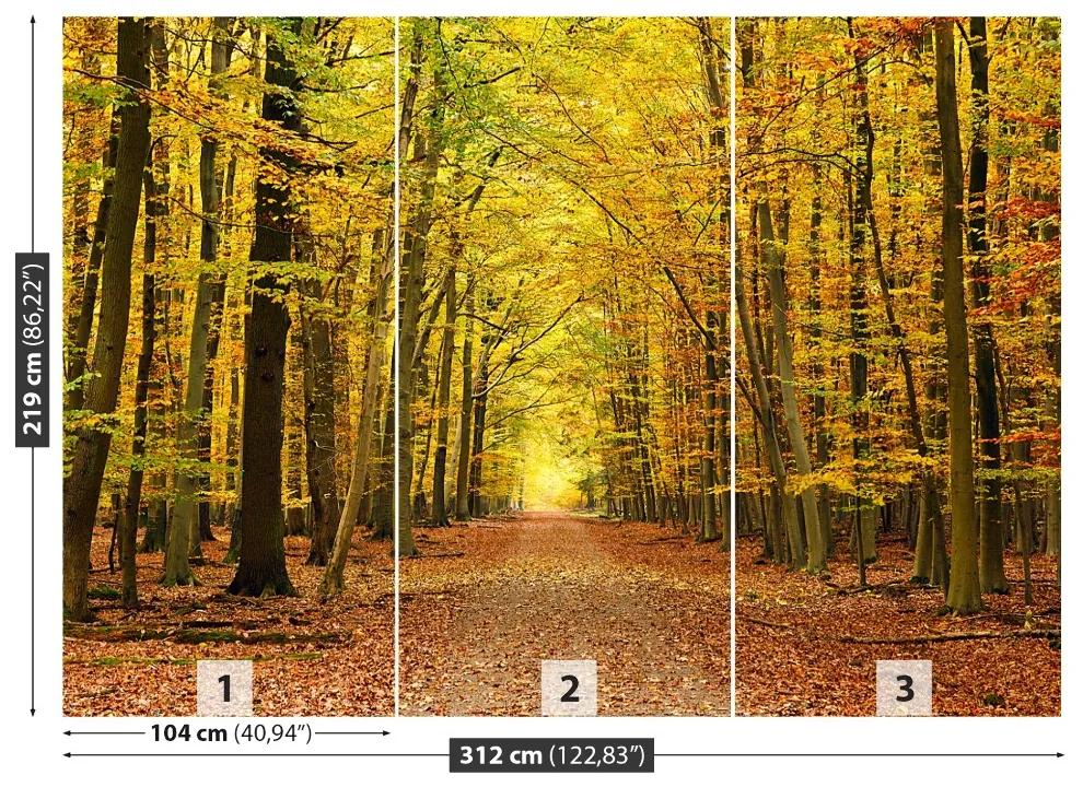 Fotótapéta őszi fasor 104x70 cm