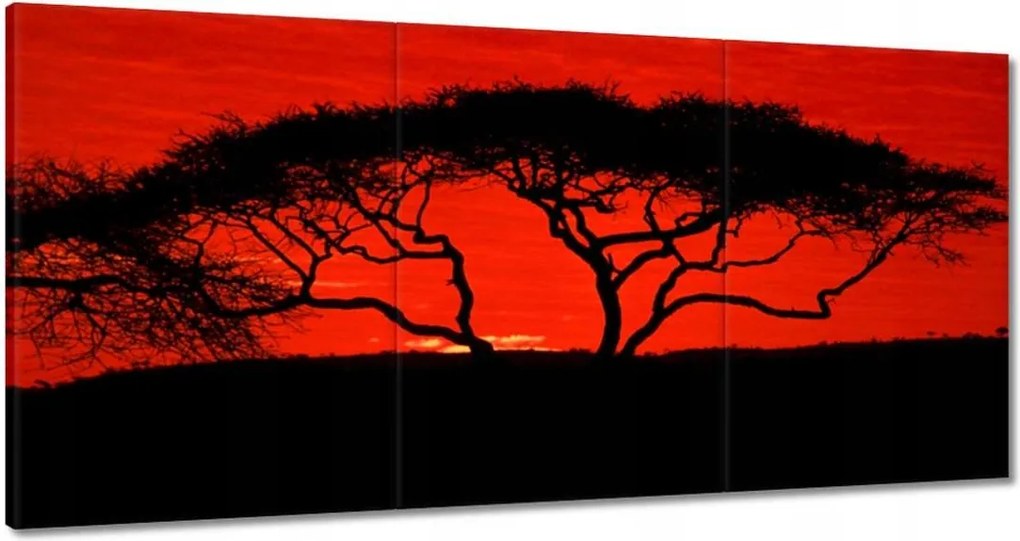 Festmények 180x90 Akác Afrikában