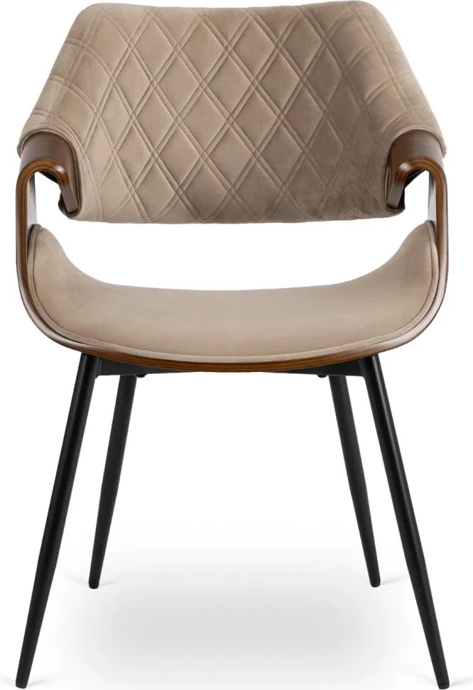 DAKOTA bársony szék bézs / dió színben