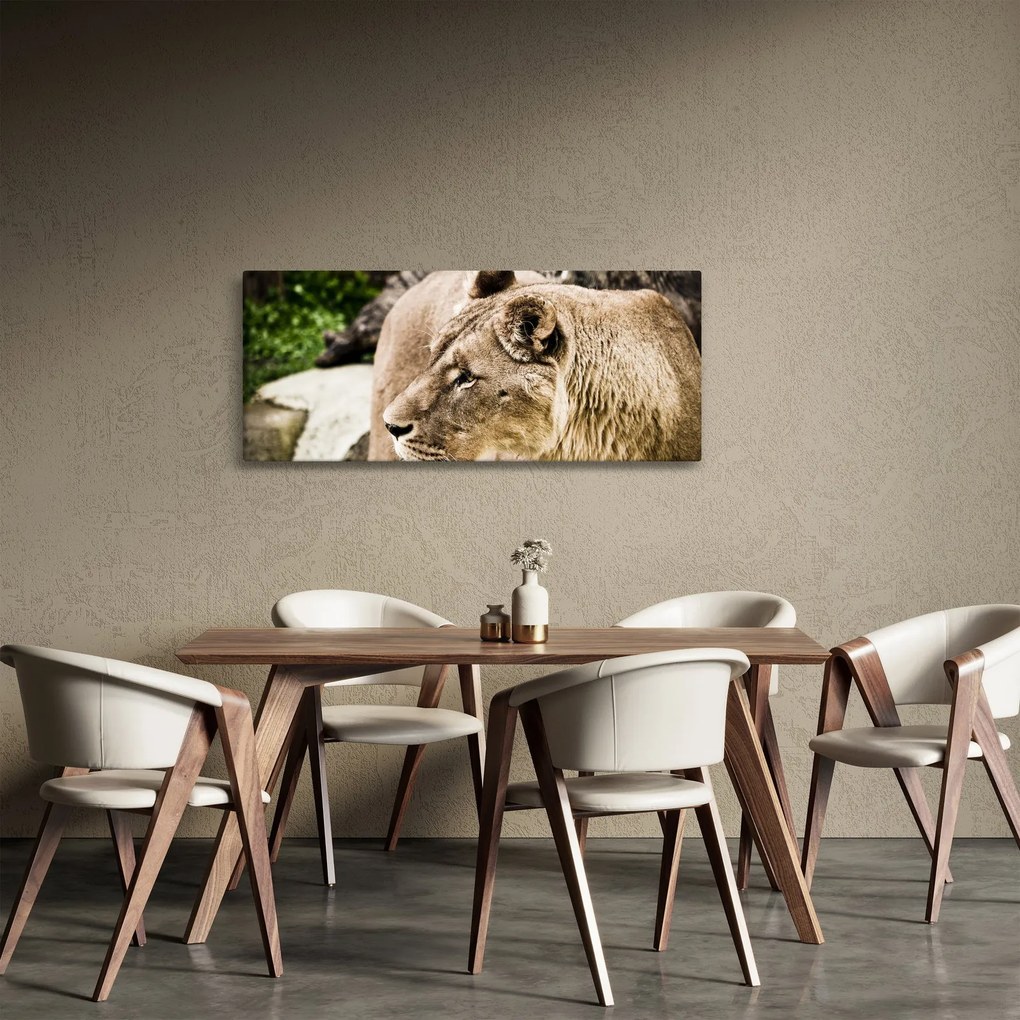 Oroszlán képe (120x50 cm)