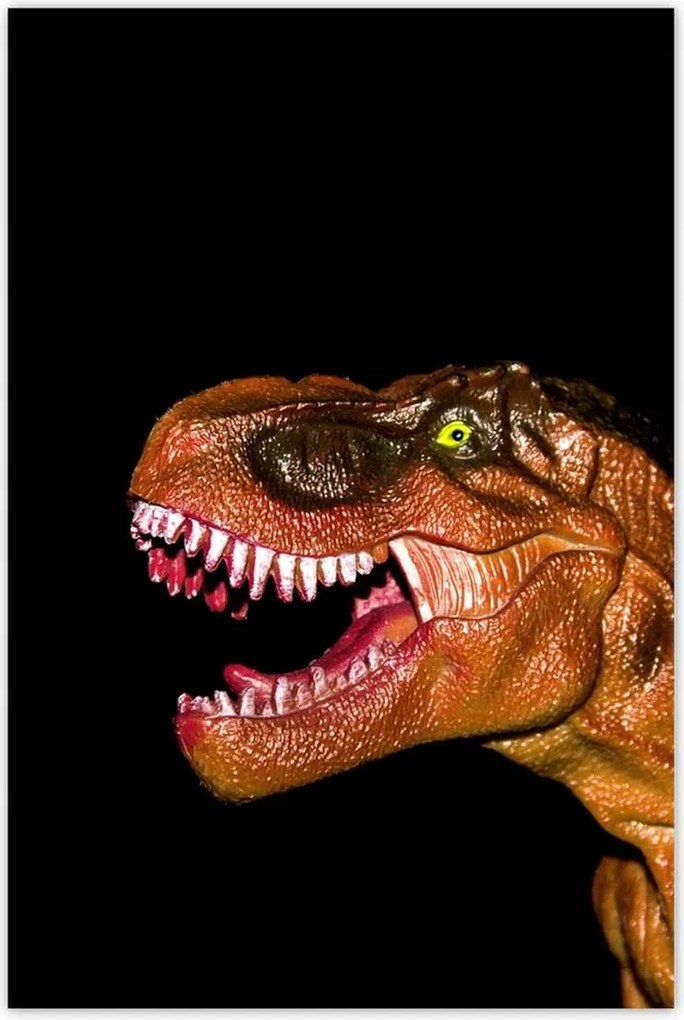 Poszterek 80x120 Tyrannosaurus fekete alapon