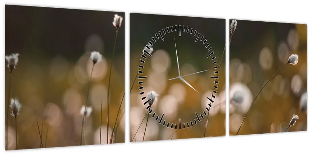 Kép - Gyapotfűvel borított rét N⁰2 (órával) (90x30 cm)