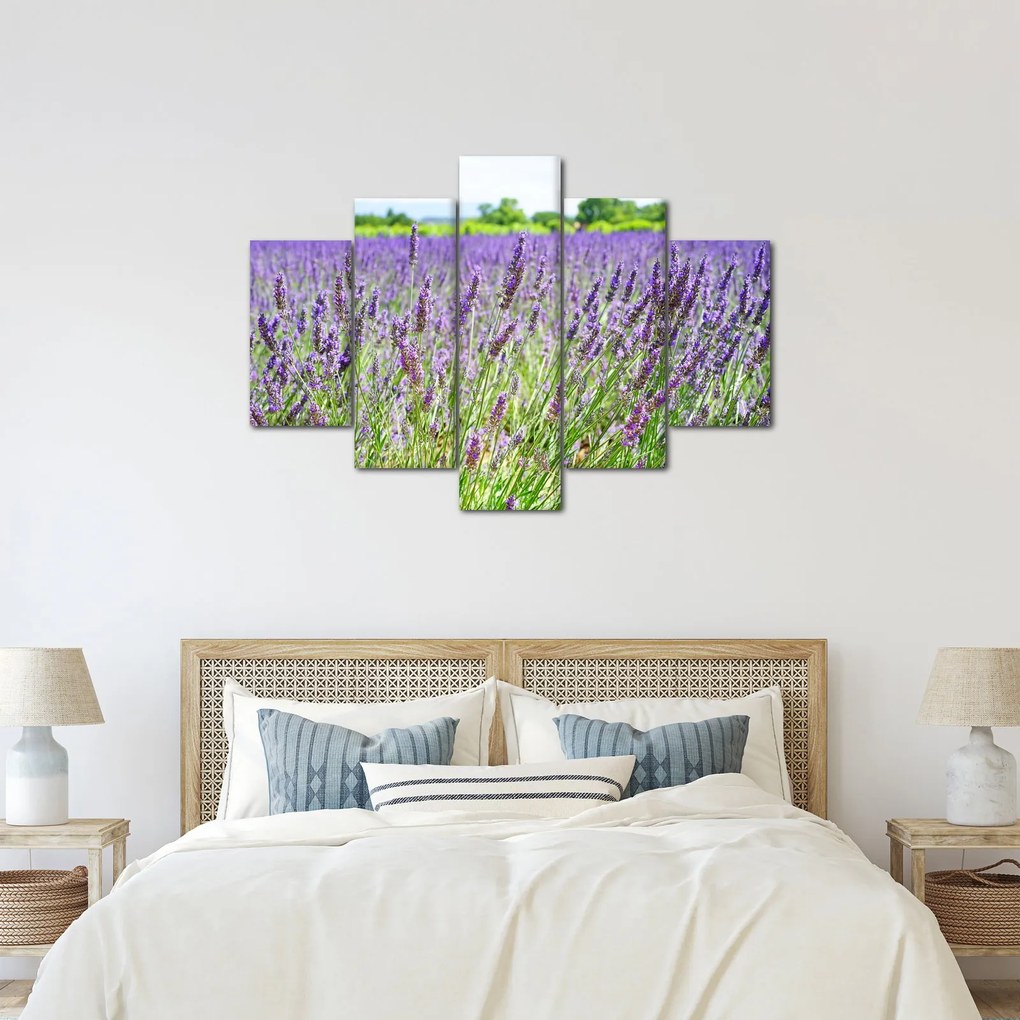 Egy mező képe a levendulával (150x105 cm)