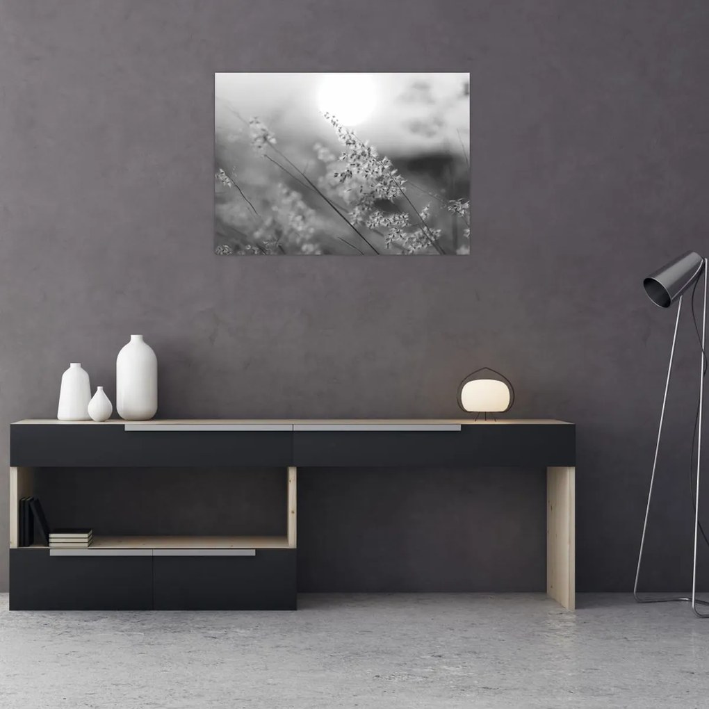 Üveg kép - Őszi rét (70x50 cm)