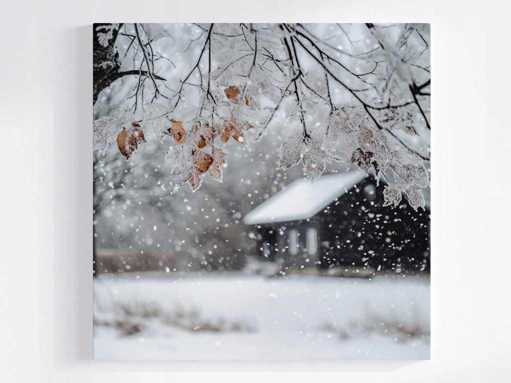 Poszter Tájkép Ház Fa Tél Hó Dér Jég Fagy 80x80