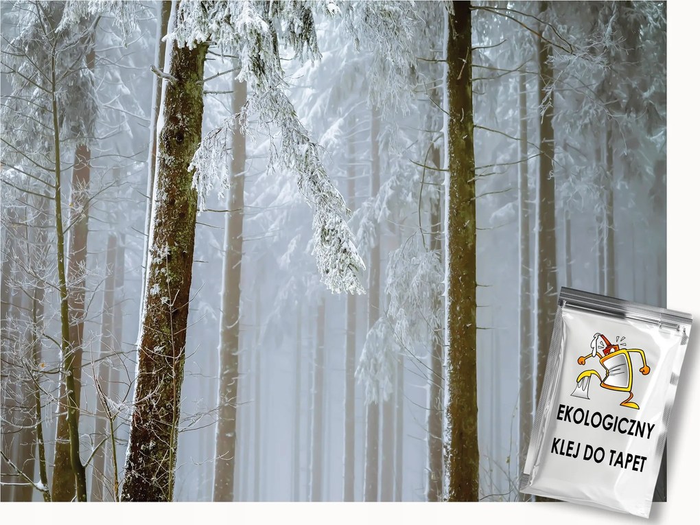 Fotótapéta Flizelina Tájkép Kilátás Erdő Fák Tél Hó Fagy 100x75 ragasztó