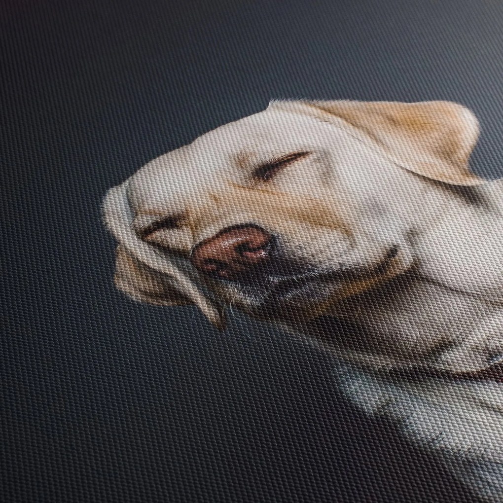 Labrador képe (150x105 cm)