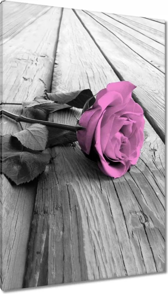 Vászonkép 80x120 Régi rózsa Rózsa a deszkákon