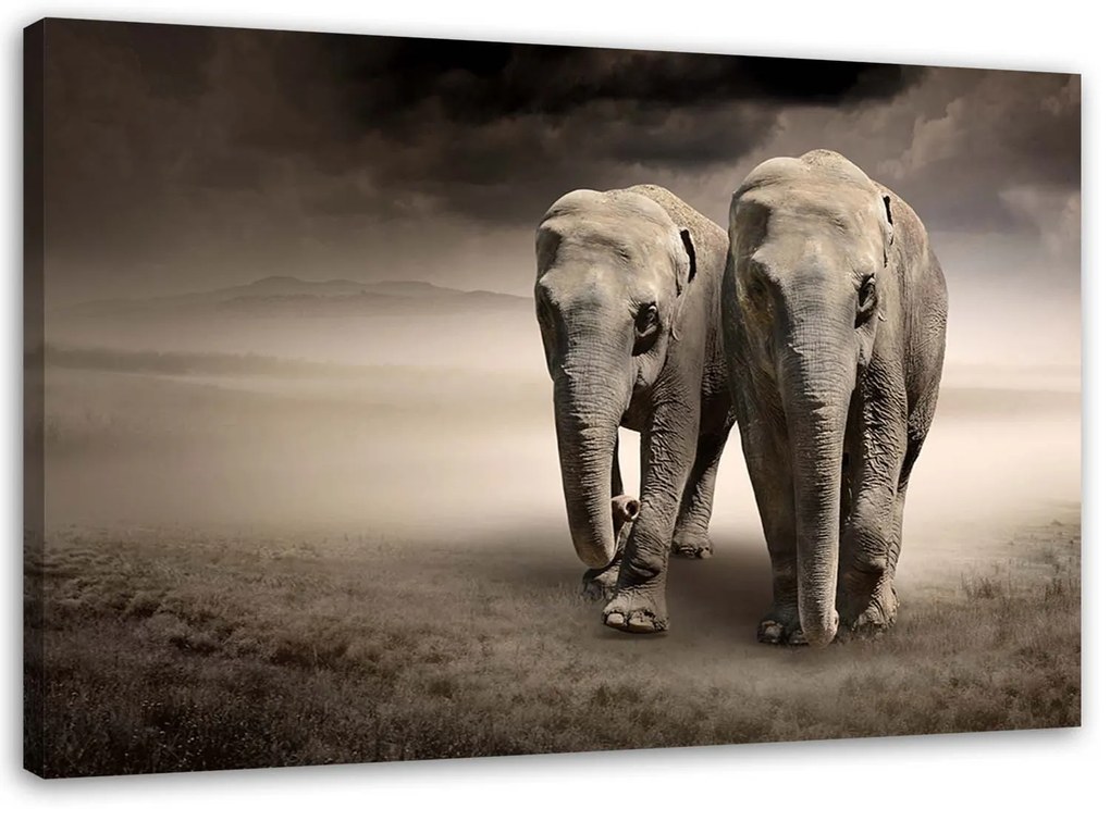 Gario Vászonkép Elefántok a sivatagban Méret: 120 x 80 cm