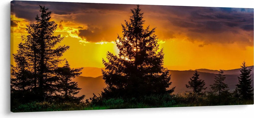 Kép - tűlevelűek (120x50 cm)