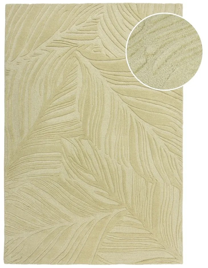 Zöld gyapjú szőnyeg 200x290 cm Lino Leaf – Flair Rugs
