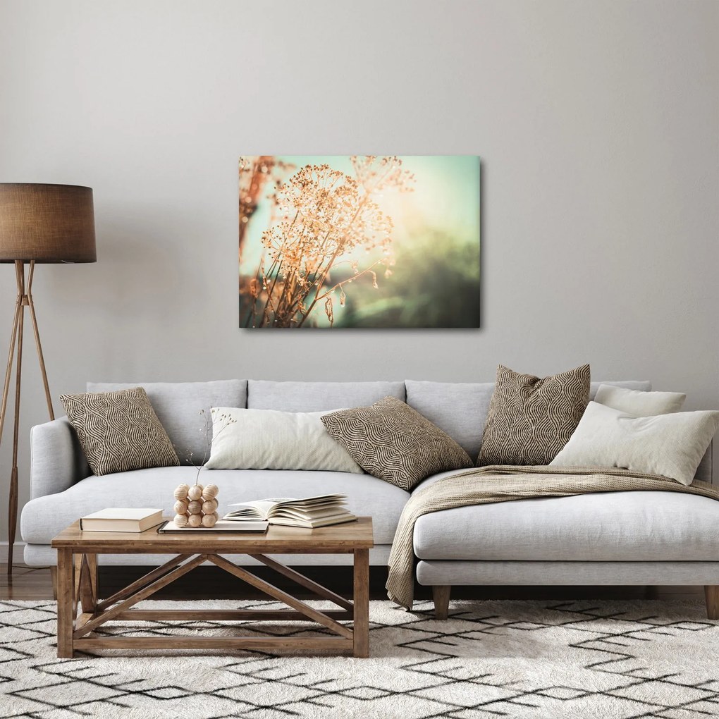 Kép - Növények eső után (70x50 cm)