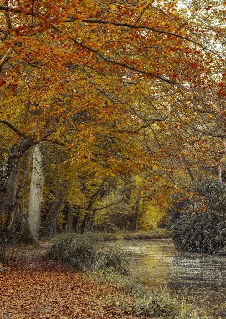 Poszter 42x59,4cm Ösvény a csatornánál, Assaf Frank