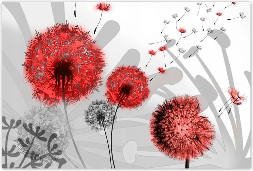 Poszterek 120x80 Piros pitypangok