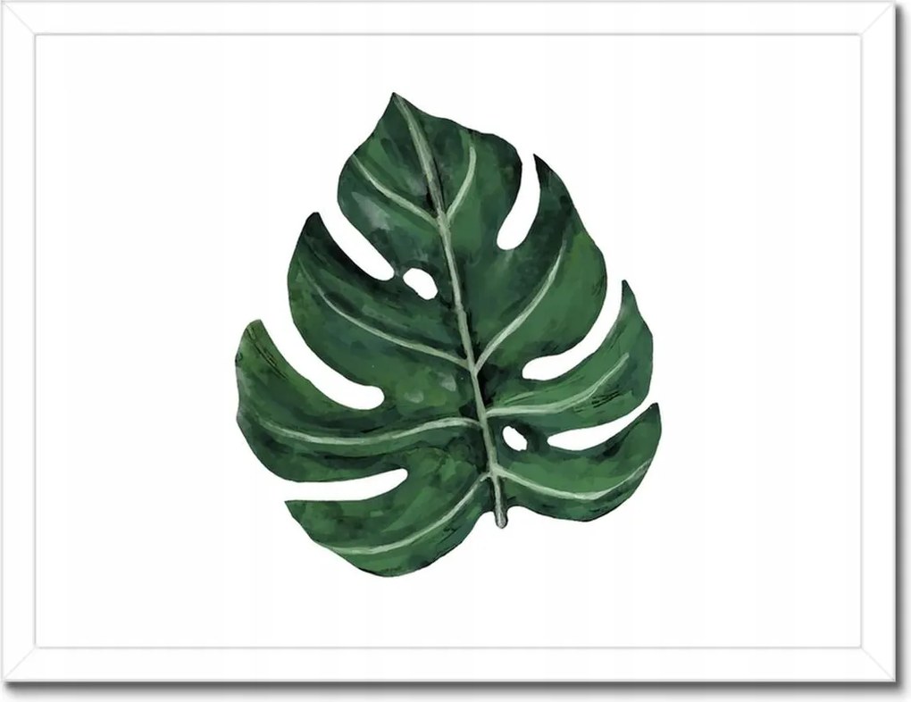 Poszter keretben 40x30 Monstera Zöld levél
