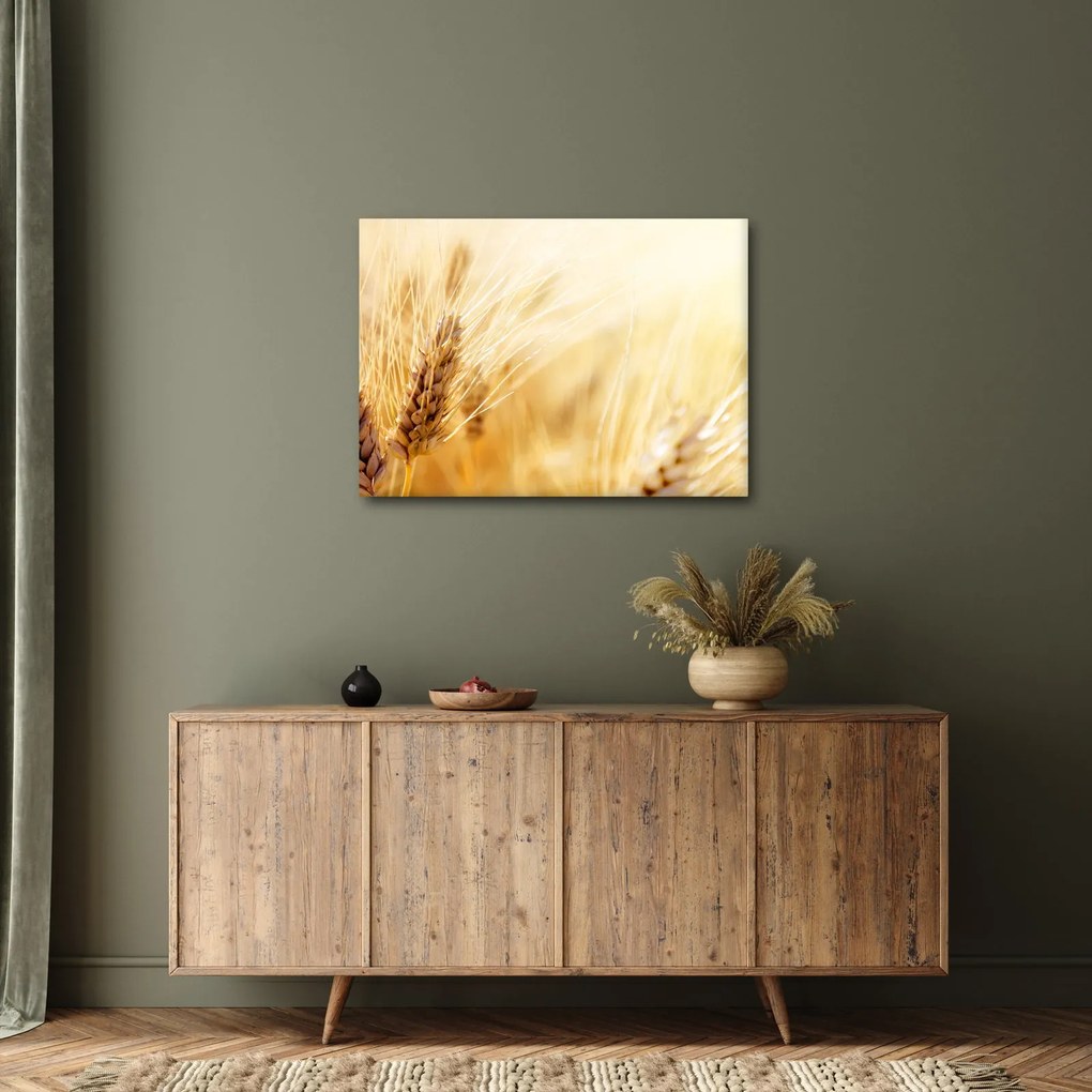 Kép - részlet gabona (70x50 cm)
