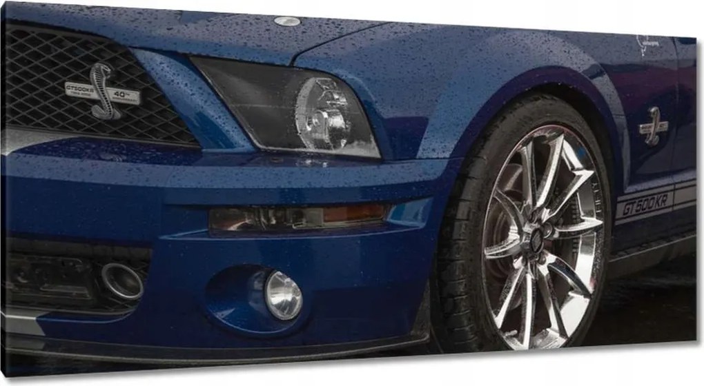 Képek 115x55 Ford Mustang Autó