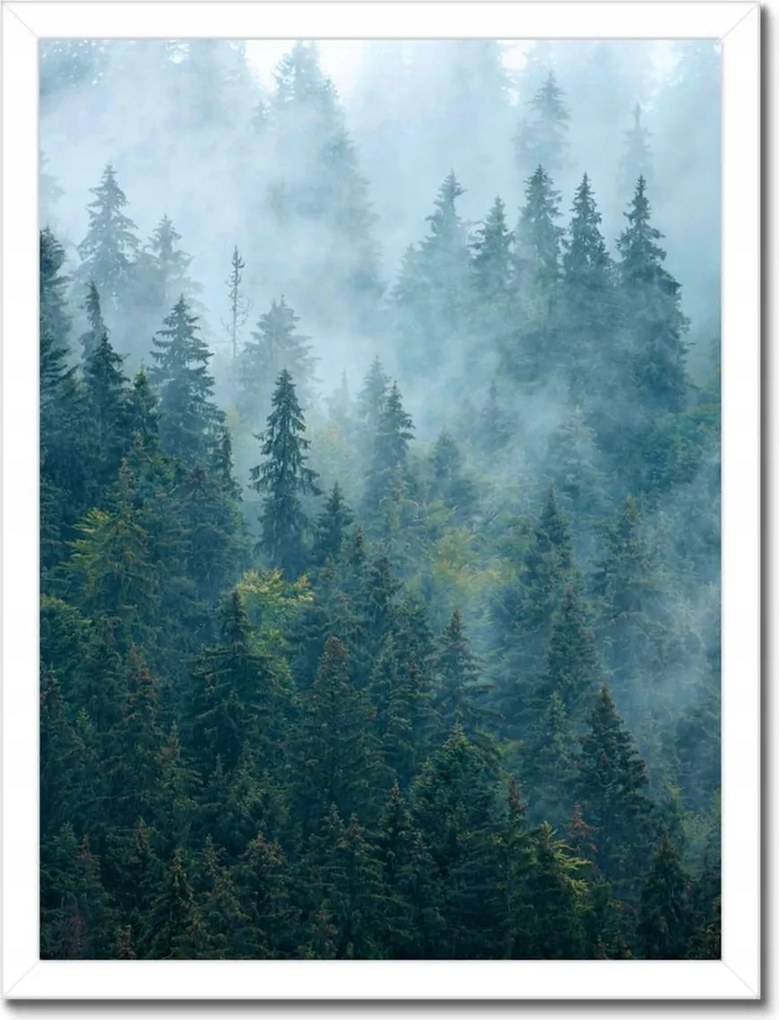 Poszter fehér keretben 30x40 Erdő a ködben Utazás