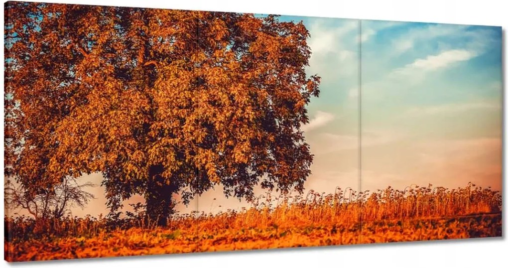 Vászonkép 120x60 Őszi színek Tájkép
