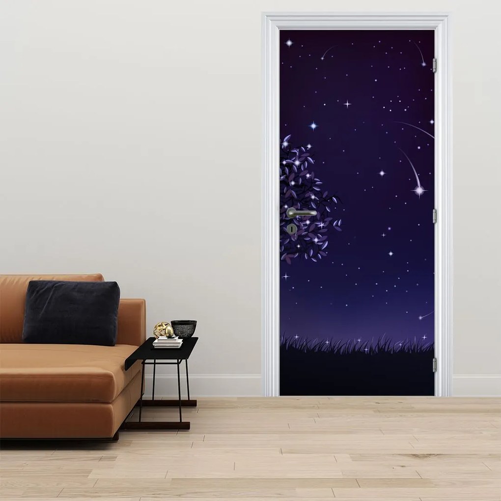 Fotótapéta ajtóra - Éjszakai rögzített illusztráció (95x205cm)