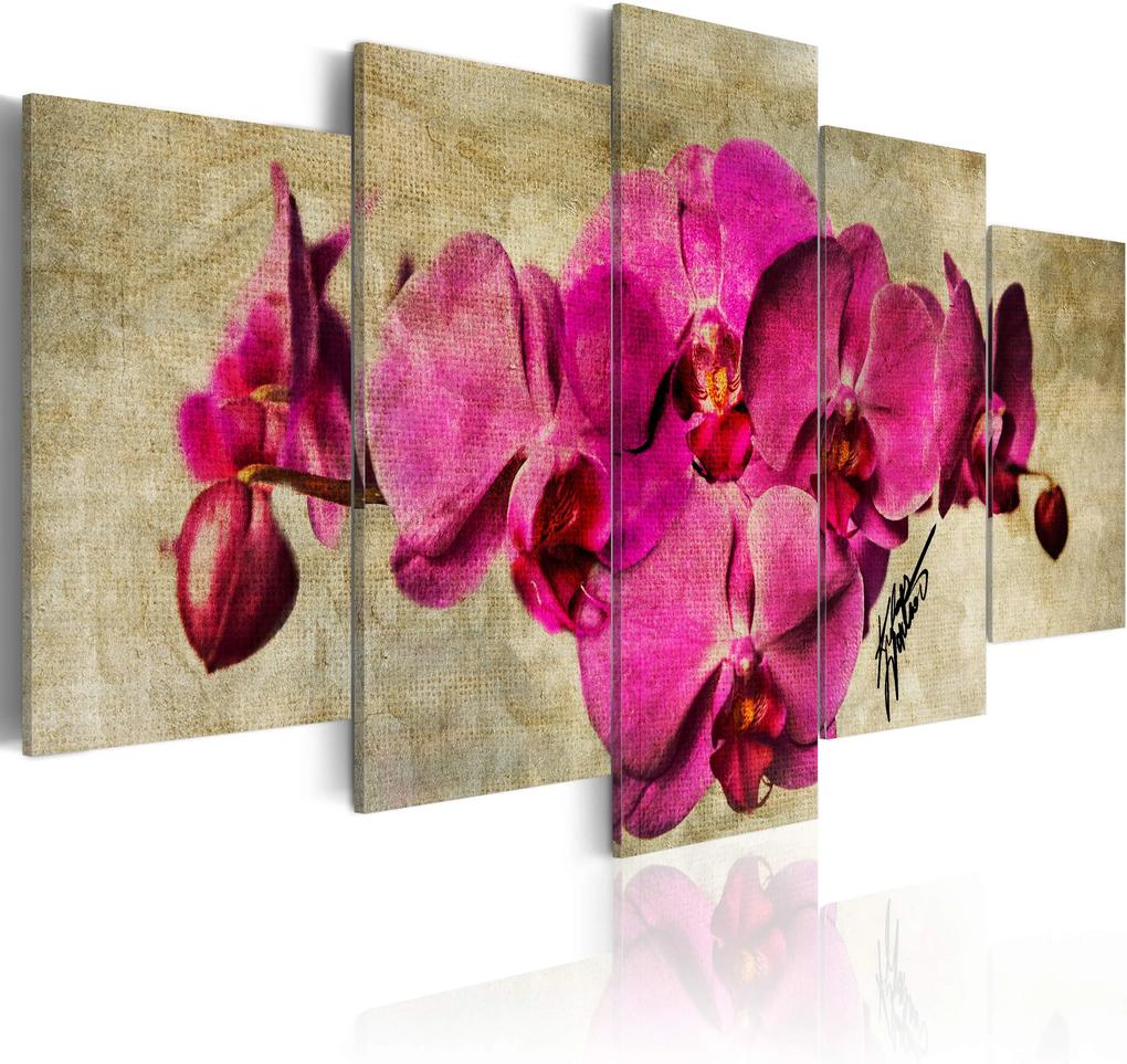 Kép - Orchids on canvas - 5 pieces