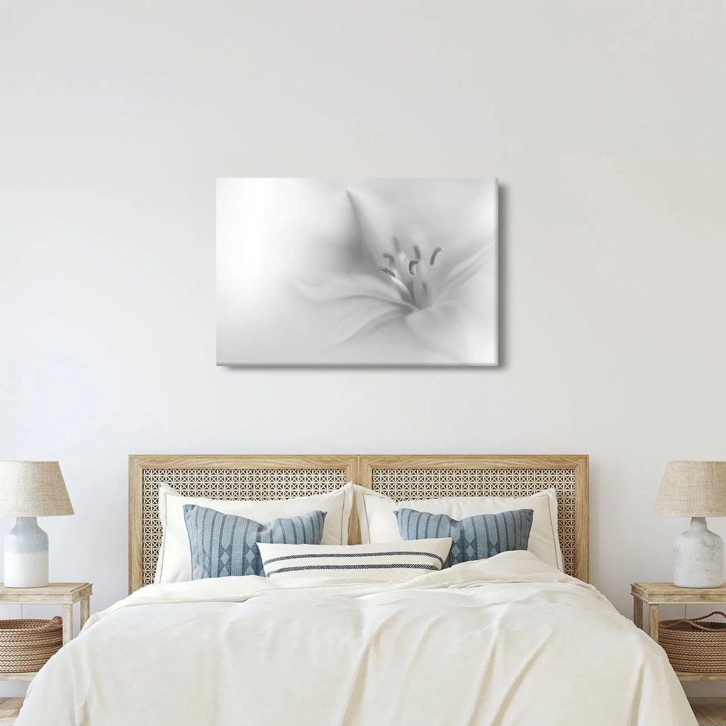 Kép - Delicate Lily (90x60 cm)