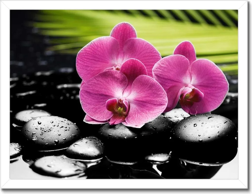 Poszterek keretben 40x30 Spa Kövek és leanderek