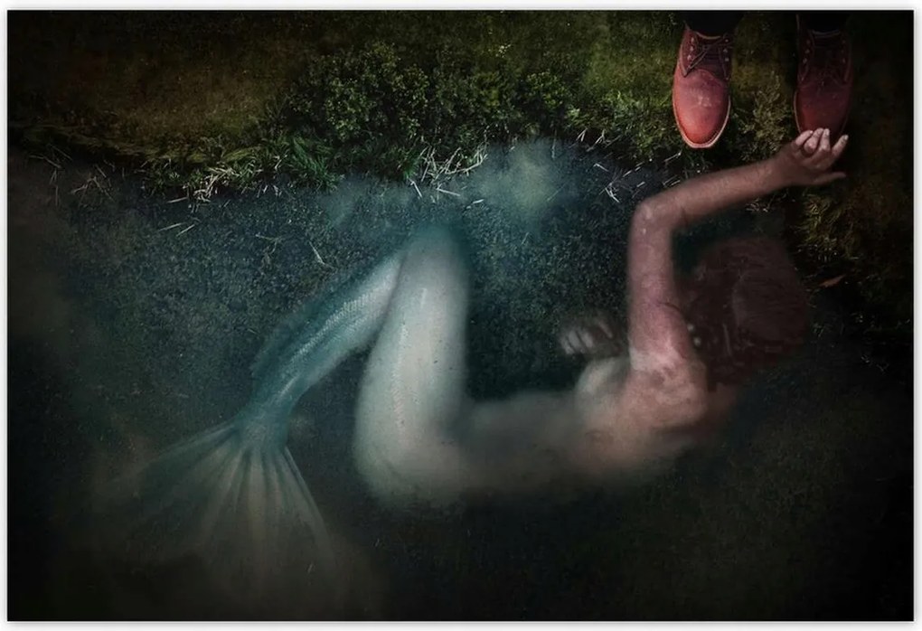 Poszterek 155x105 HardCore Design Photo Hc