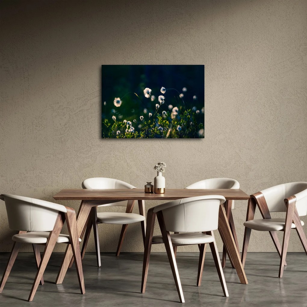 Kép - Fű (70x50 cm)