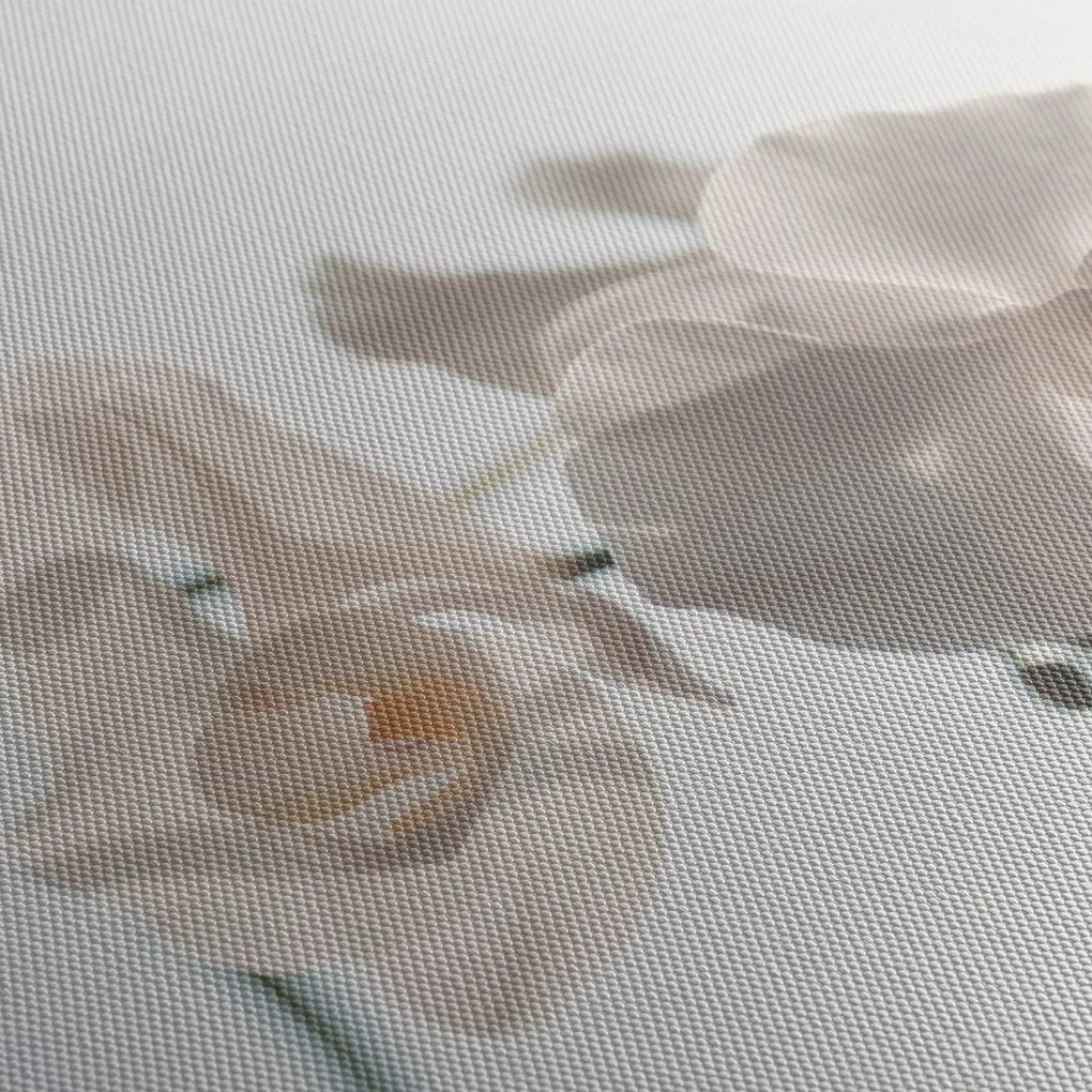 Fehér orchidea képe (órával) (90x30 cm)