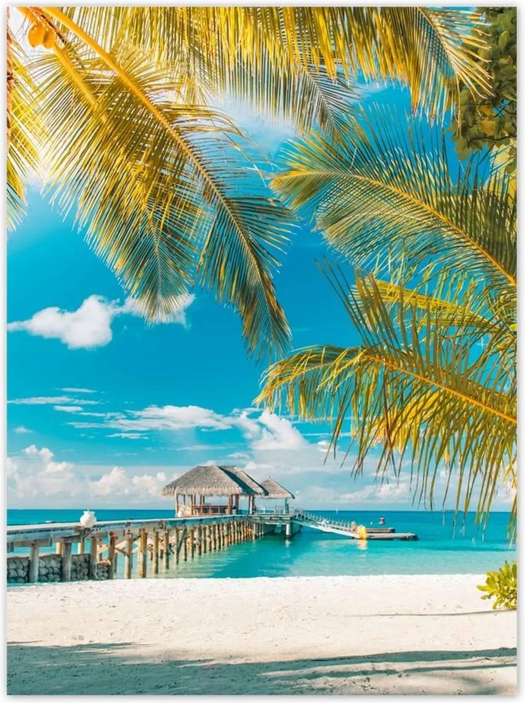 Poszterek 100x135 Trópusok Tájkép Pálma