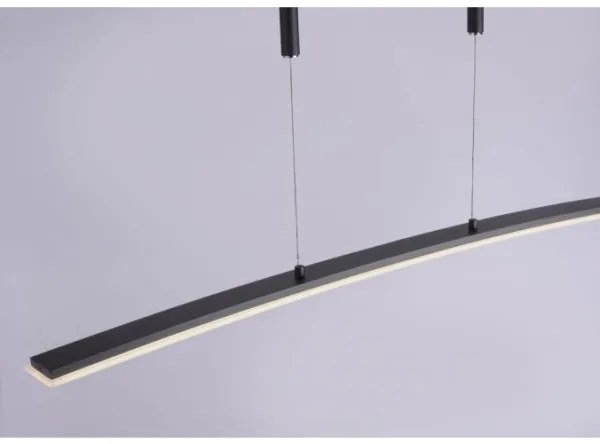 Paul Neuhaus 2530-13 - LED Dimmelhető csillár zsinóron JANINA LED/27W/230V