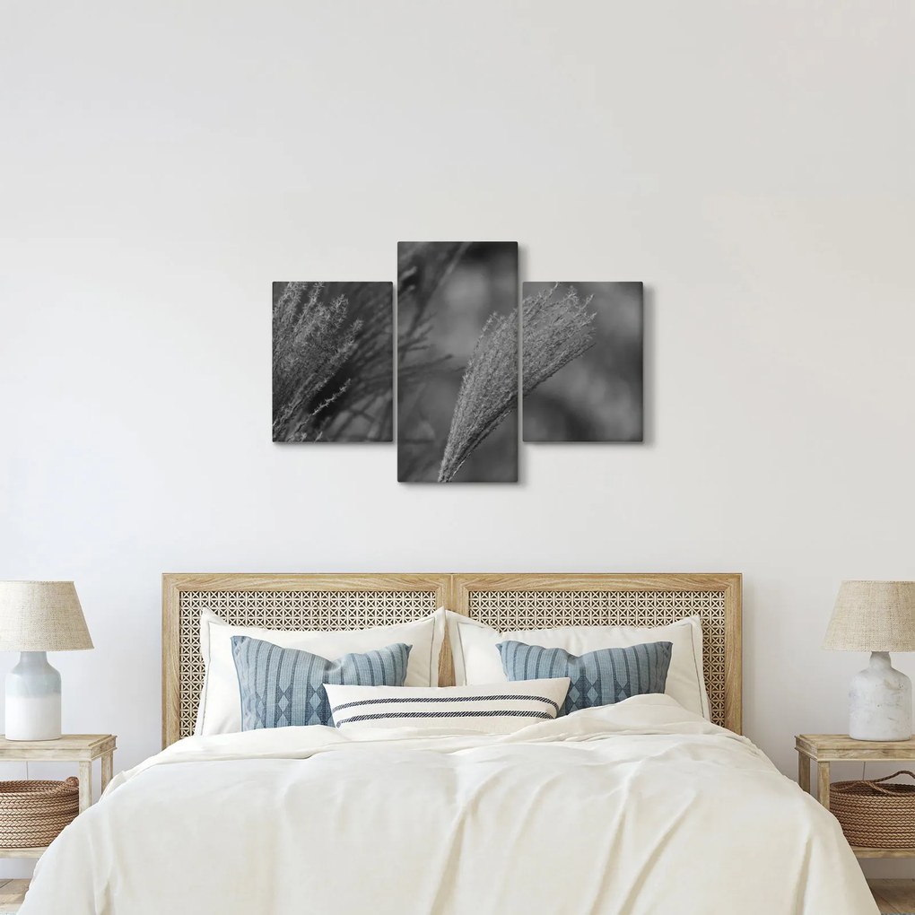 Kép - Szárított pampafű (90x60 cm)