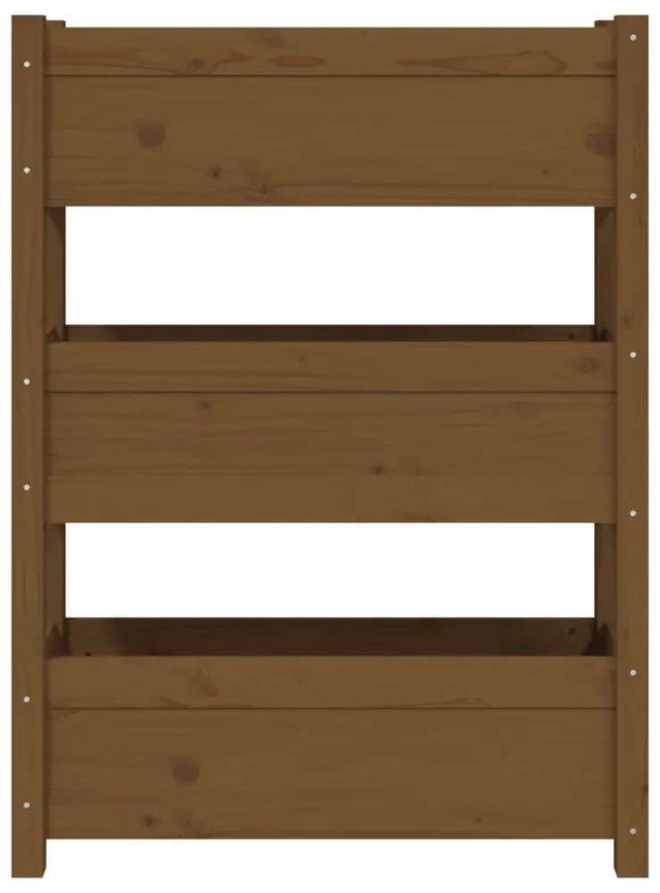 mézbarna tömör fenyőfa növénytartó 77x25x104,5 cm
