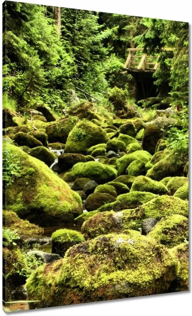 Vászonkép 70x100 Tátra Lengyel hegyek Kilátás