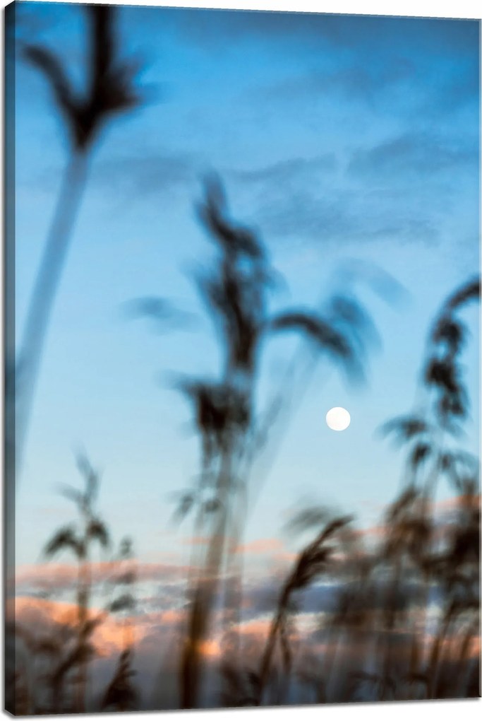 Vászonkép Természet Mező Rét Napfelkelte 40x60