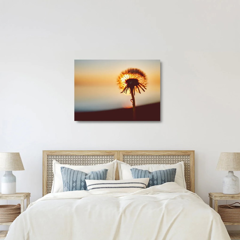 Egy pitypang képe naplementekor (üvegen) (70x50 cm)