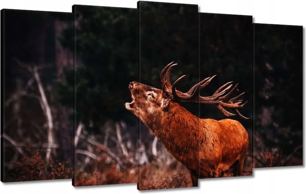 Vászonkép 100x60 Szarvas az erdőben