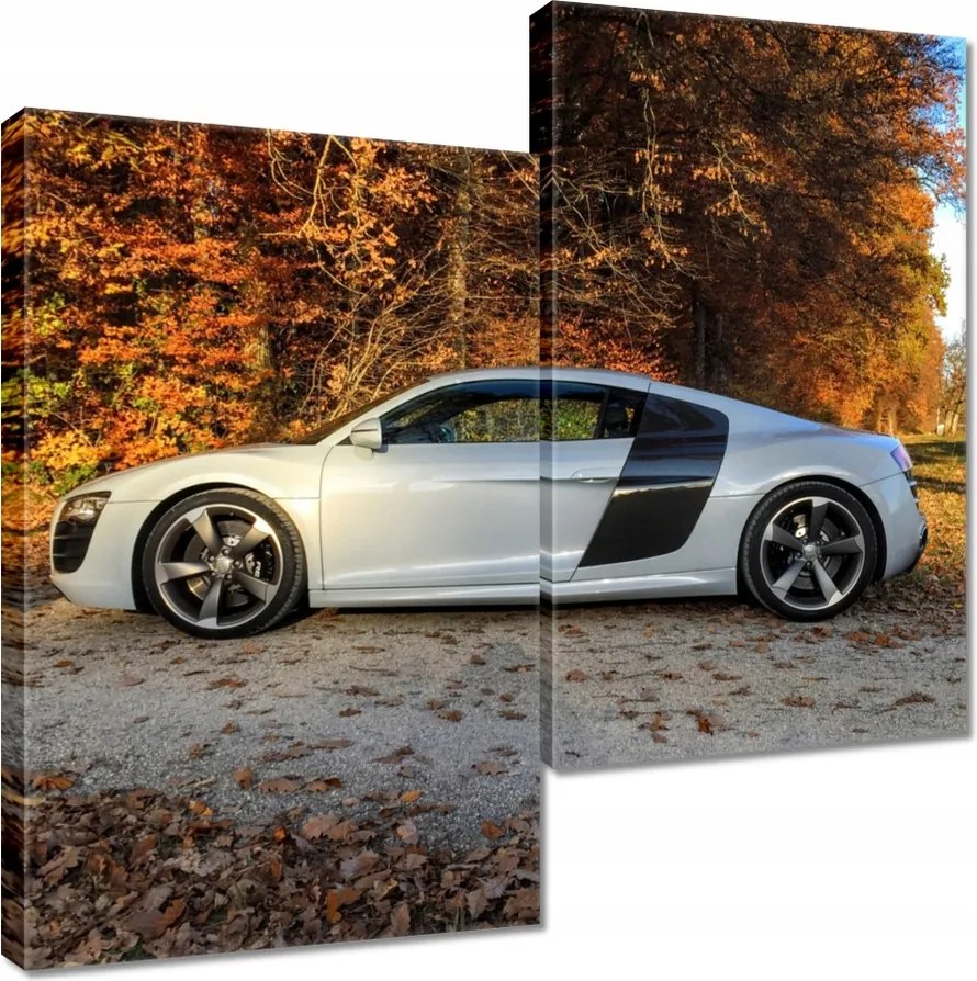 Vászonkép 60x60 Fehér Audi Tt