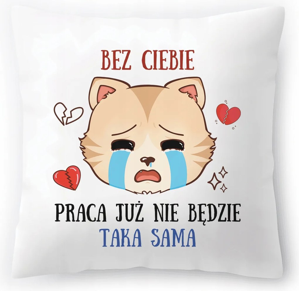 Búcsú a munkától párna a kolléganőnek fényképes nyomtatással