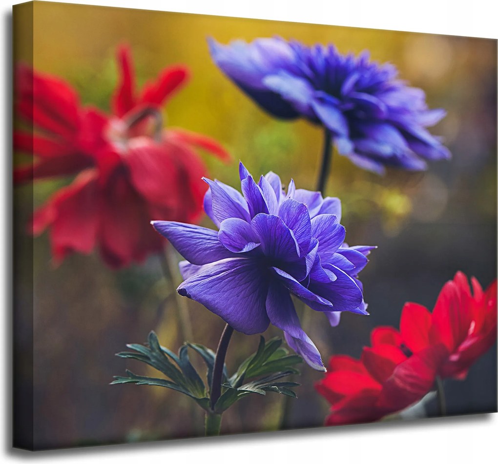 Botanika Virágok a kertben vászonkép 50x40