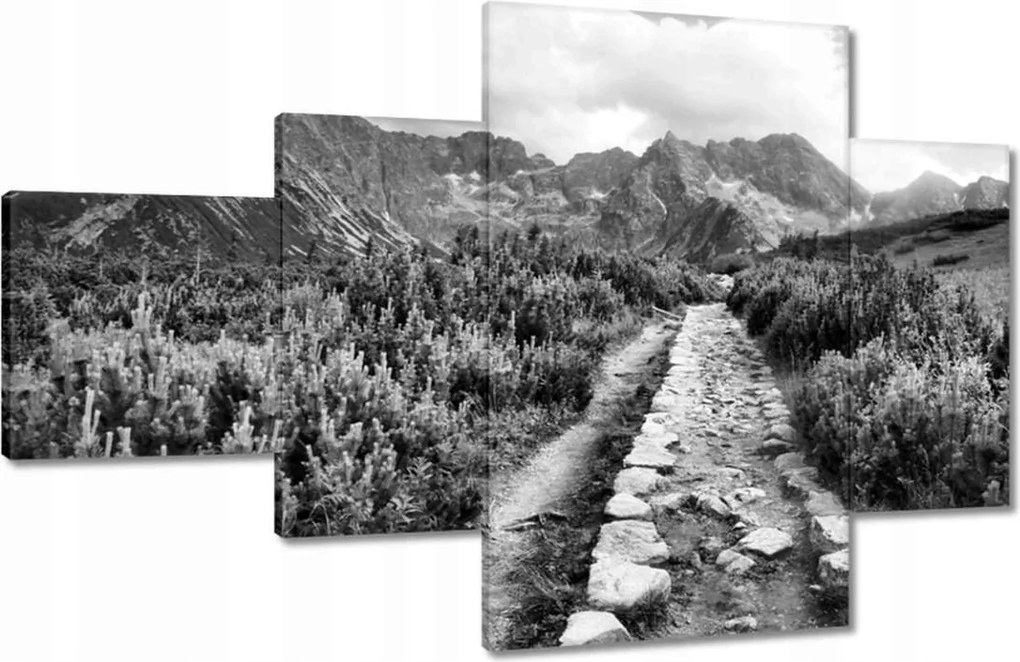 Képek 130x80 Tátra Lengyel hegyek Kilátás