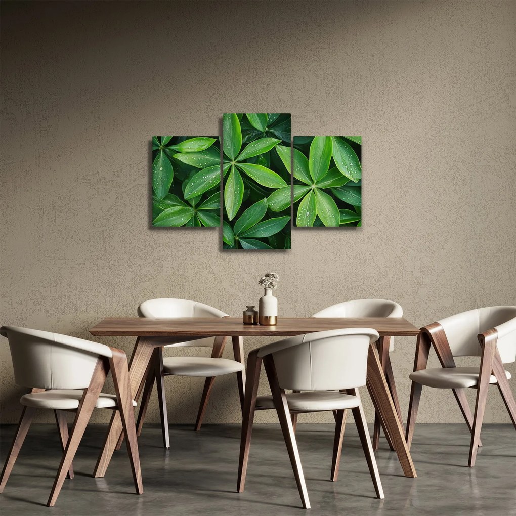 Kép - Levelek harmatcseppekkel (90x60 cm)