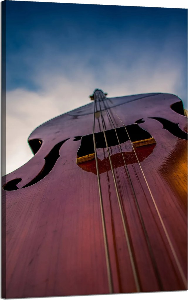 Vászonkép Zene Kontrabas közelkép 50x80