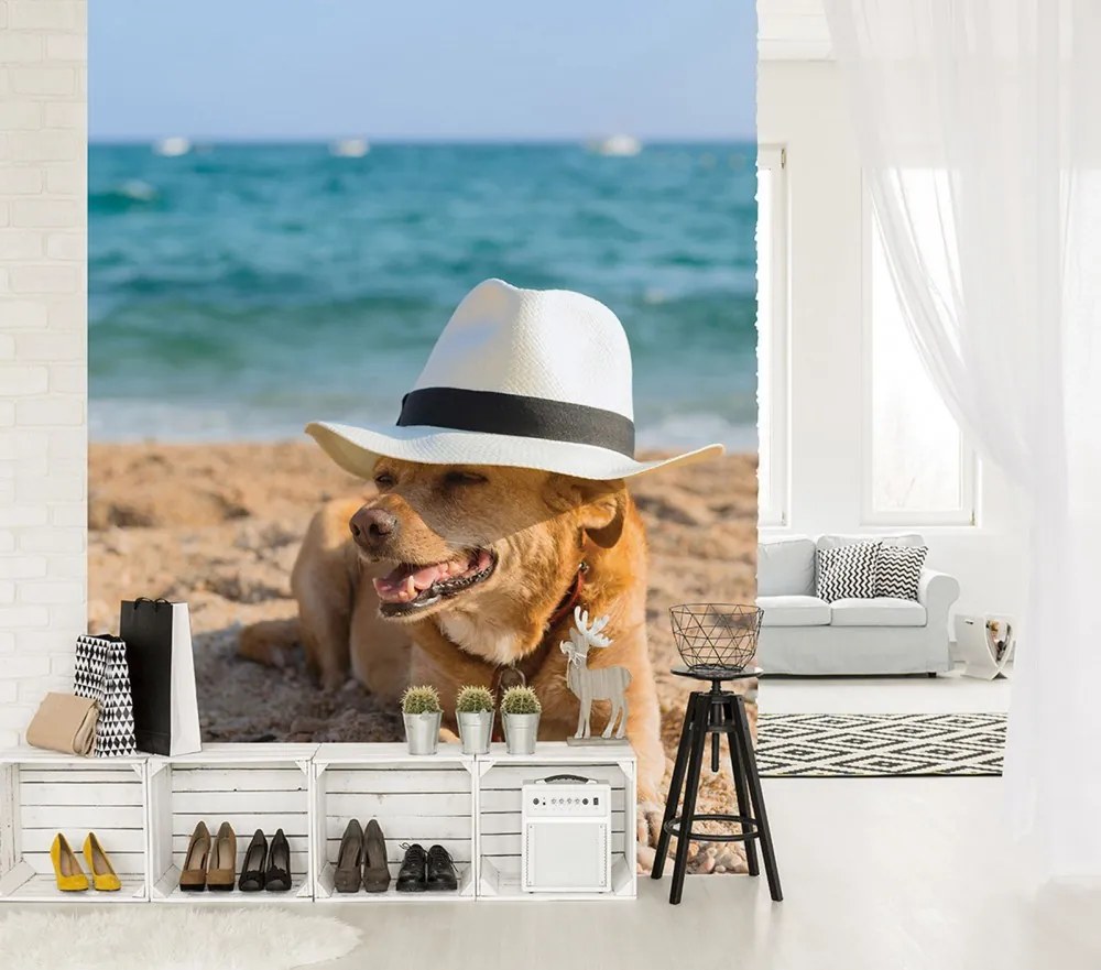 Kalapos kutya poszter, fotótapéta, Vlies (206x275 cm, álló)