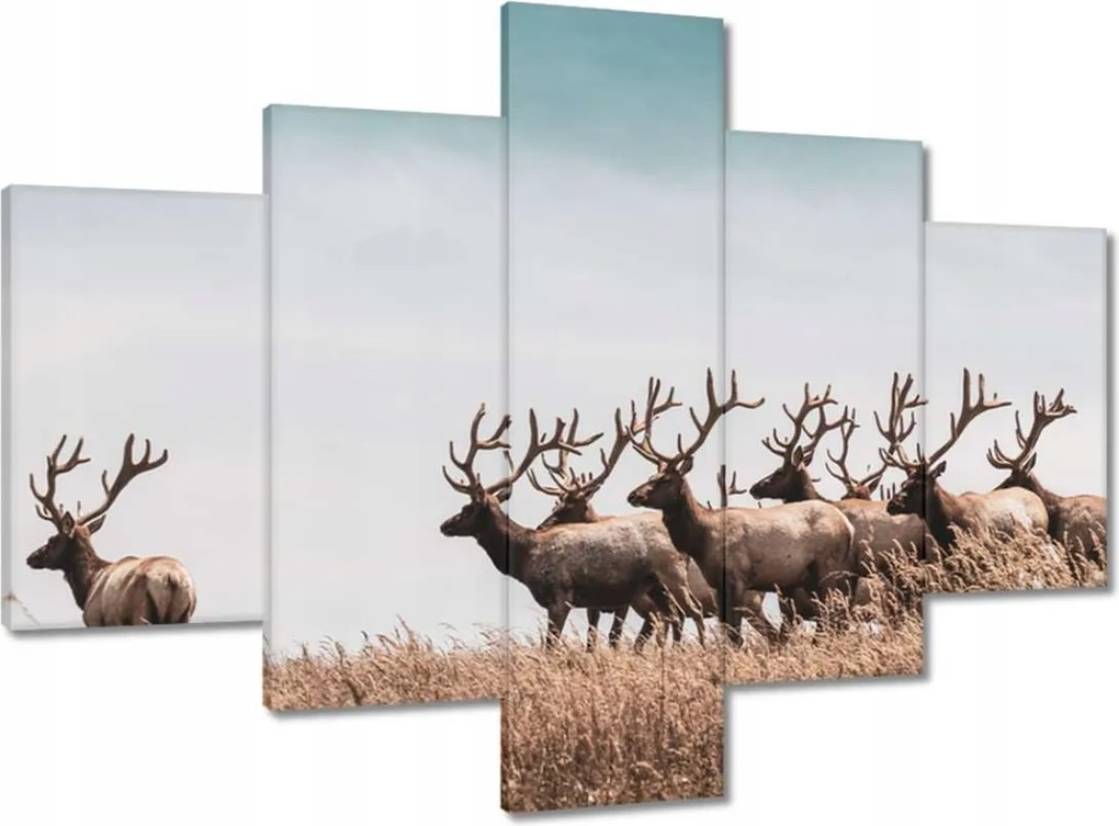 Vászonkép 100x70 Szarvascsorda Szarvak