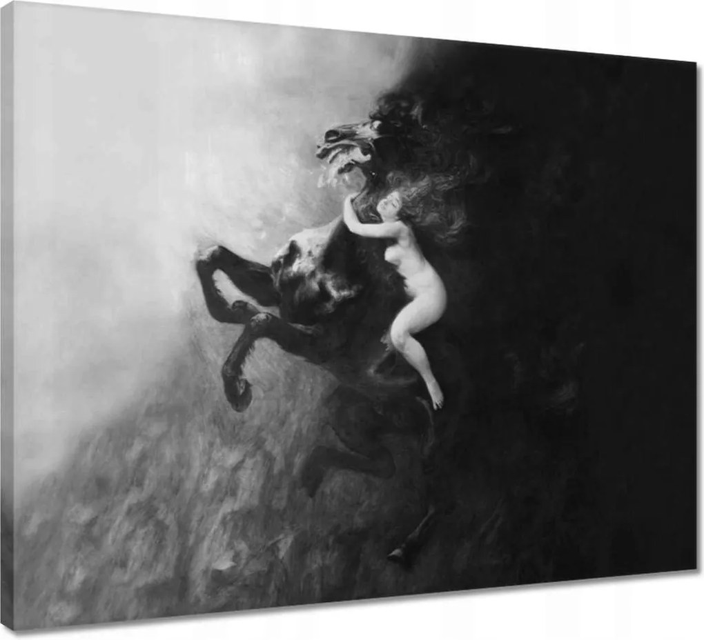 Vászonkép 50x40 Elragadtatási őrület Nő Ló