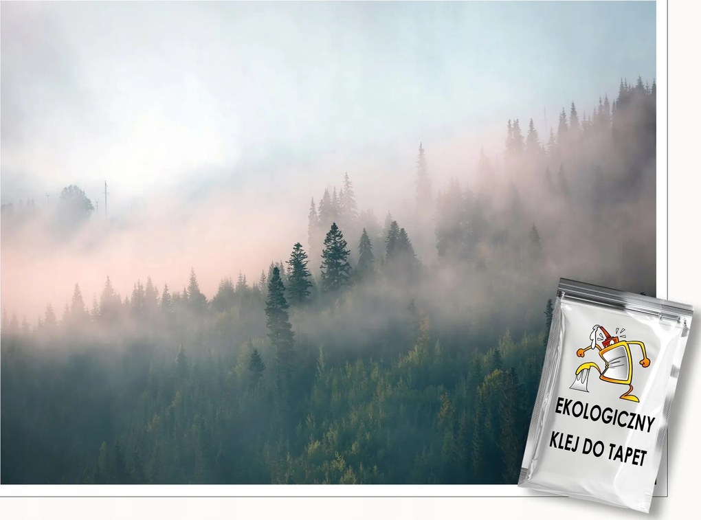 Fotótapéta Erdő A Ködben A Nappali Hálószobájába Természet Fali Tapéta 400x280